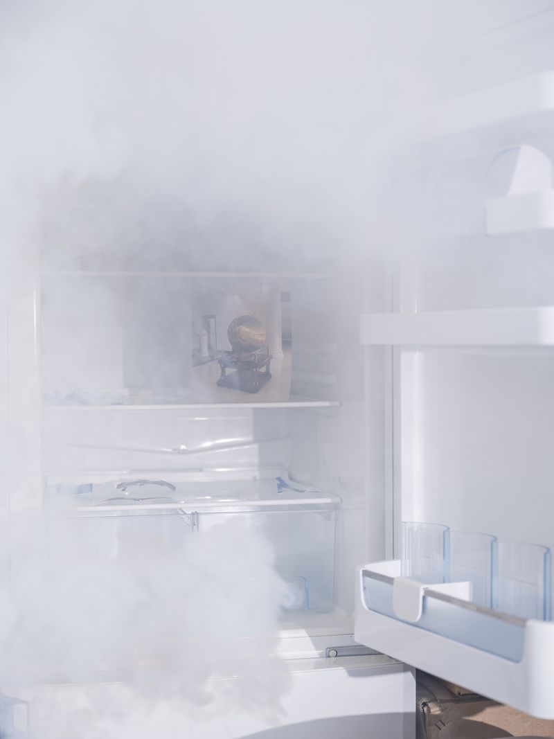 © Pang Hai - The Earth, Frozen in a Refrigerator, Reflects My Shrinking Worldview.
