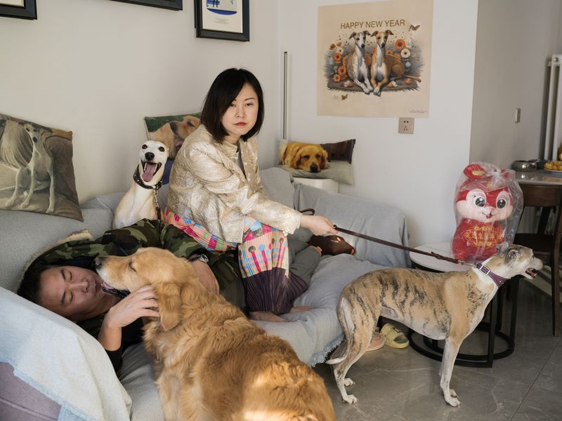 © Pang Hai - Image from the Peking Wood photography project