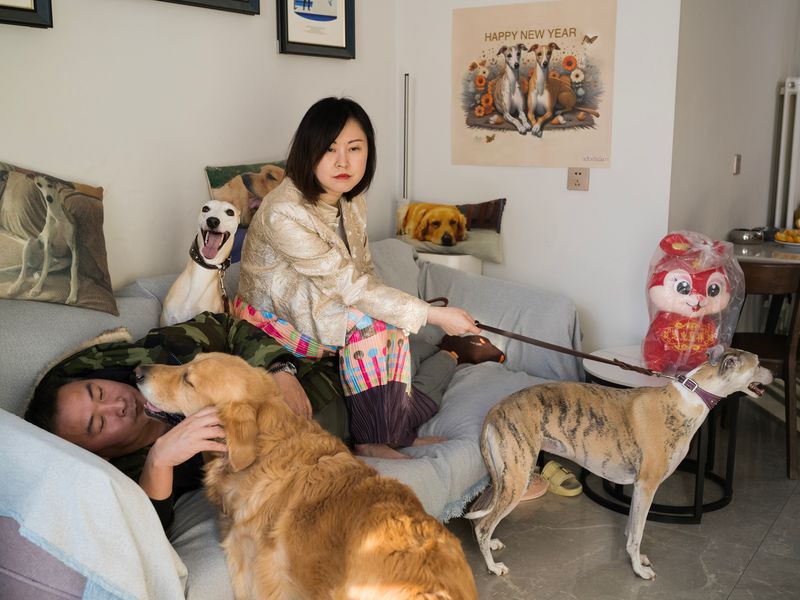 © Pang Hai - Image from the Peking Wood photography project