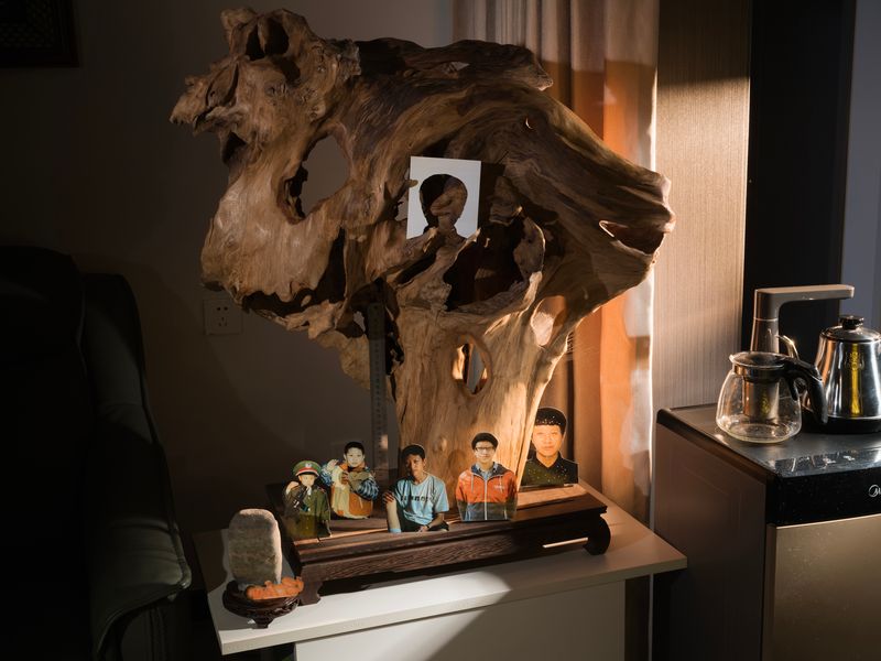 © Pang Hai - Tree of life :As I grow up, I traverse one tree hole after another, not knowing where the next hole will lead.