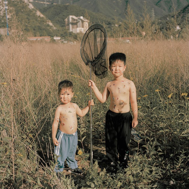 © Pang Hai - There are no animals in the world