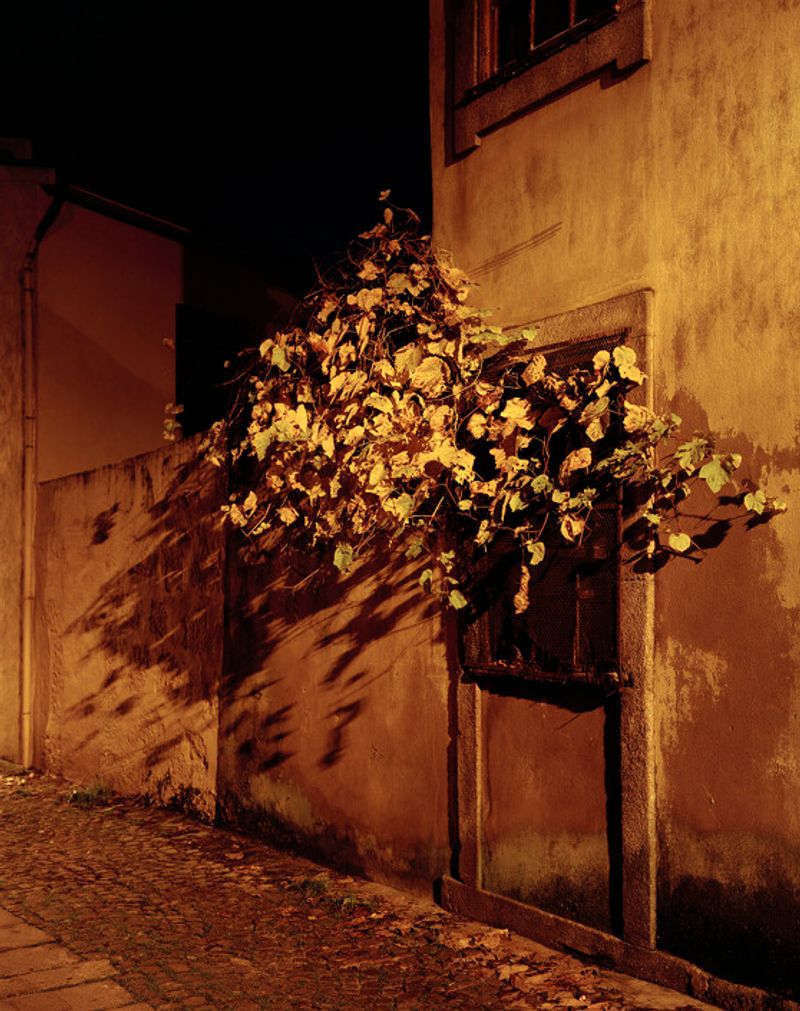 © André Cepeda - Untitled, Porto, 2010 Inkjet Print 90X72cm 1/3