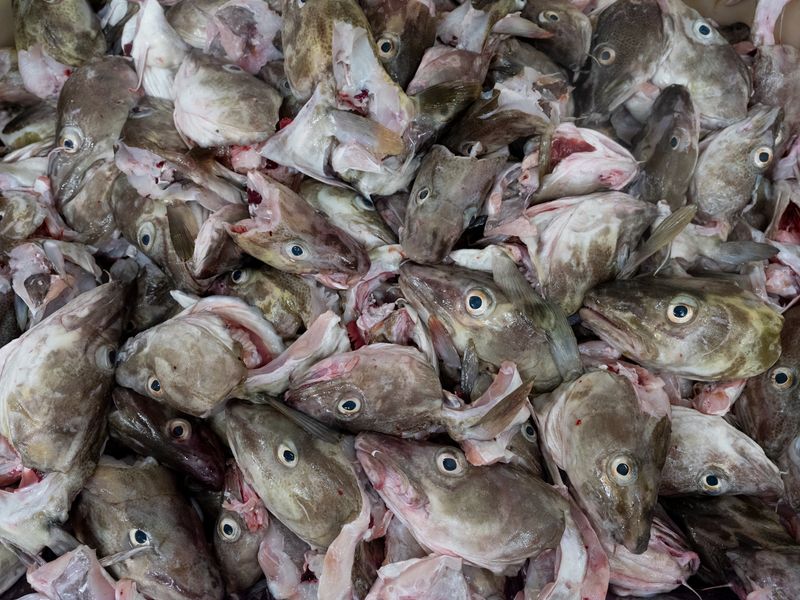 © Jón Helgi Pálmason - Image from the Sléttan, Traces of Herring / Sudden Shifts photography project