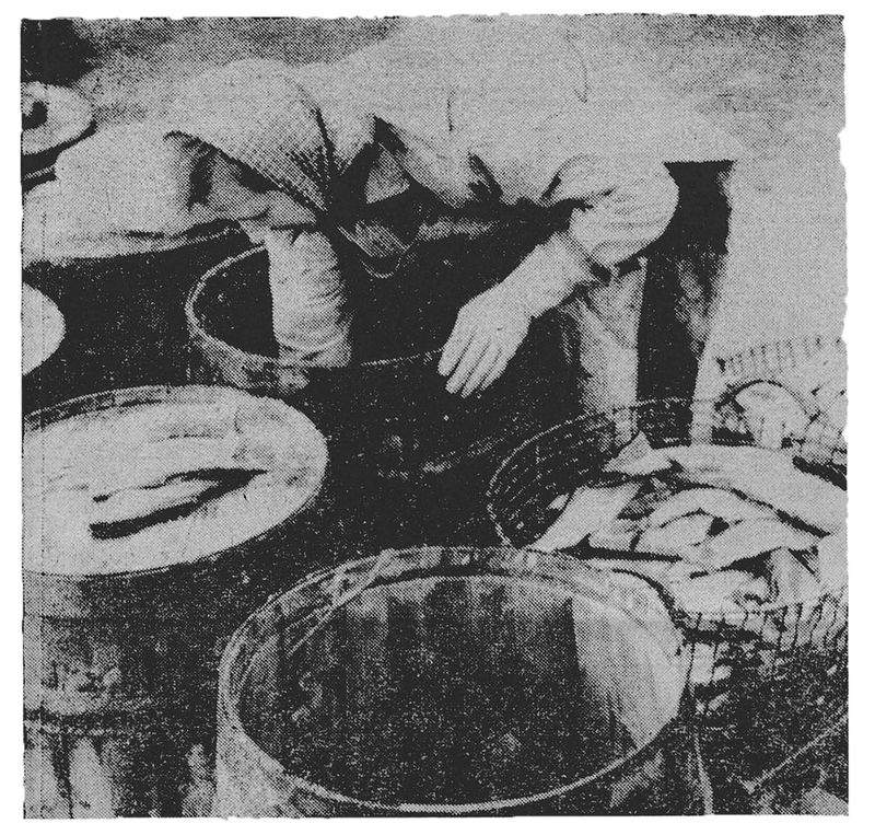 © Jón Helgi Pálmason - Image from the Sléttan, Yzta Annesið (The Farthest North) photography project