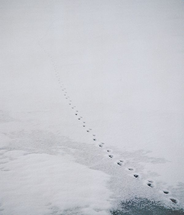 © Jón Helgi Pálmason - Image from the Sléttan, Yzta Annesið (The Farthest North) photography project