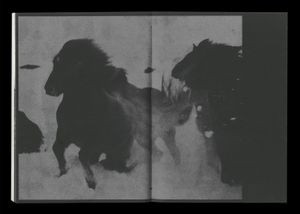 Sléttan, Yzta Annesið (The Farthest North)