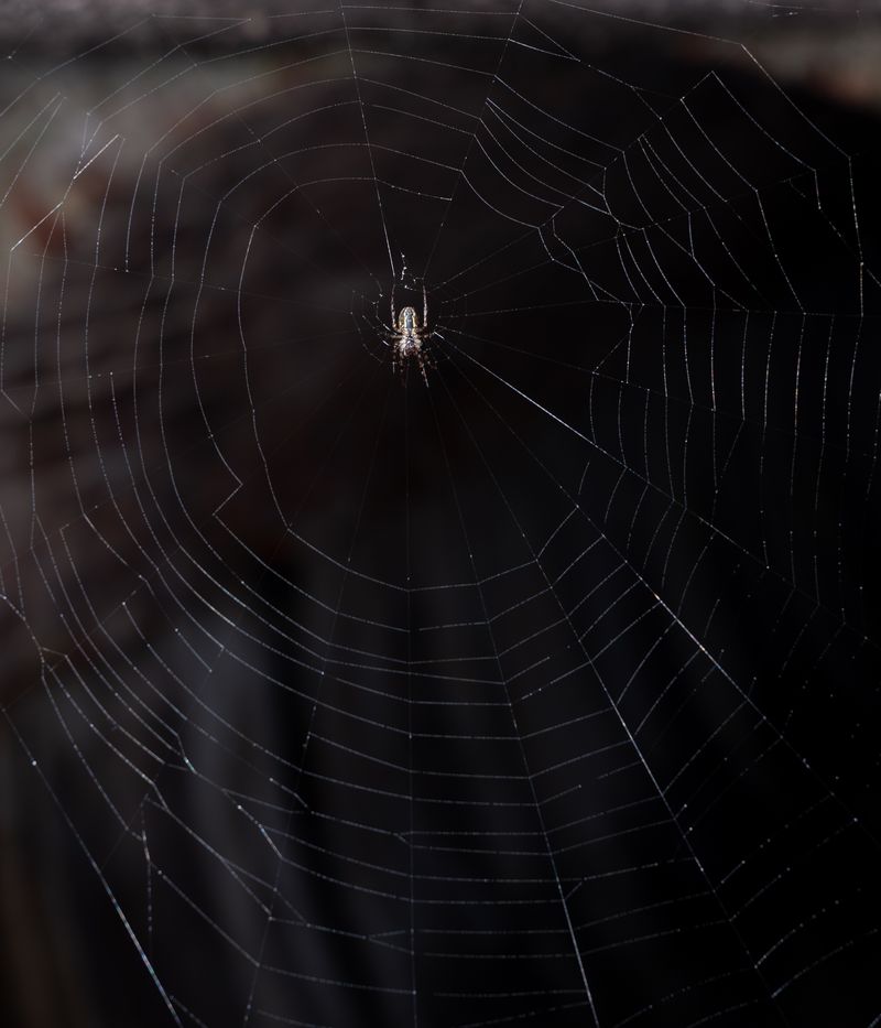 © Jón Helgi Pálmason - Image from the The Noise Turns Into Silence photography project