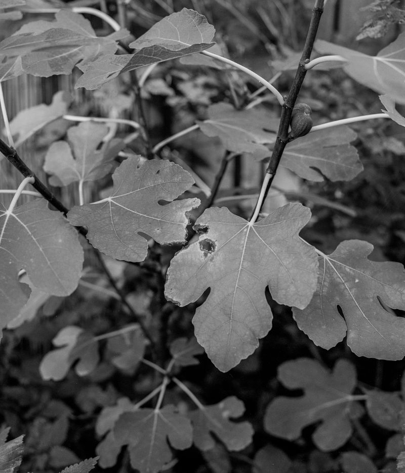 © Jón Helgi Pálmason - Image from the The Noise Turns Into Silence photography project