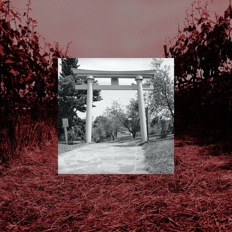 © Massimiliano Camellini - Shinto Shrine Jinja#San Marino#2021