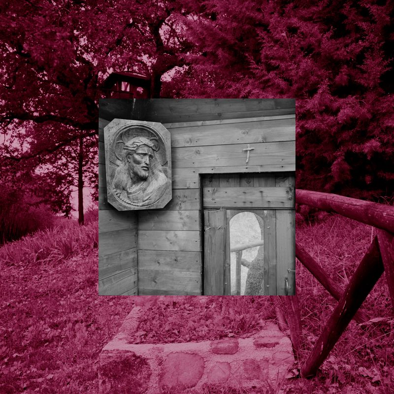 © Massimiliano Camellini - IACA#Assisi#2021