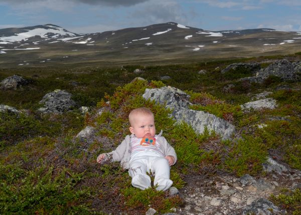 © Linda Forsell - Fanta in front of the Norwegian mountains.