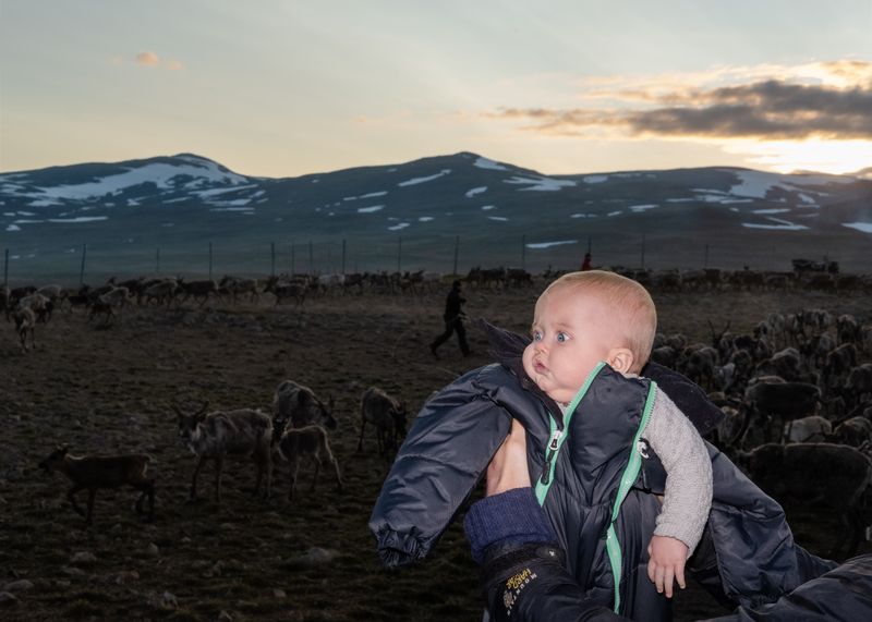 © Linda Forsell - Fanta in front of reindeers!