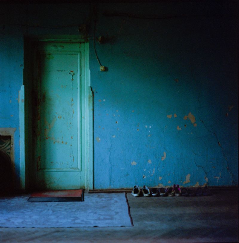 © Tako Robakidze - Image from the . . . the roof is covered with forest photography project