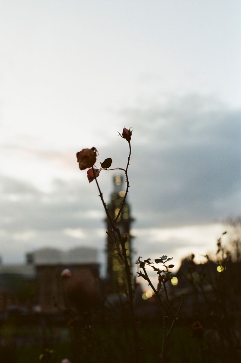 © Tereza Červeňová - Big Ben, London; February 2019