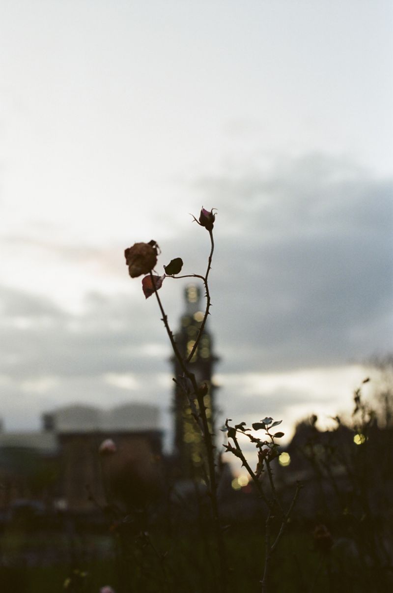 © Tereza Červeňová - Big Ben, London; February 2019