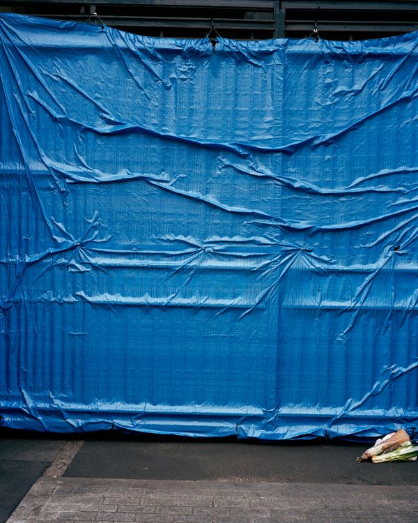 © Tereza Červeňová - Image from the June photography project