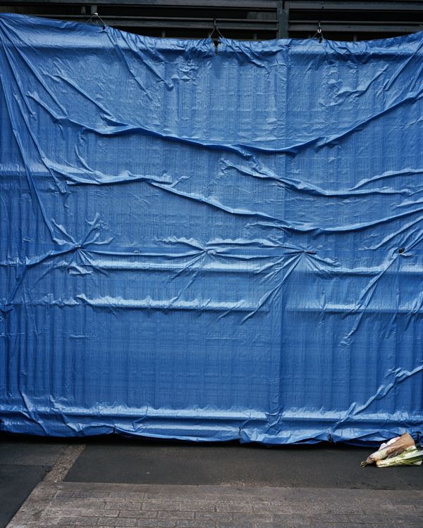 © Tereza Červeňová - Image from the June photography project