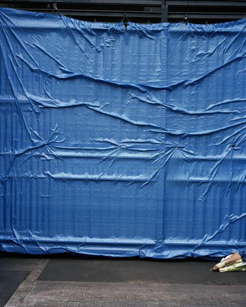 © Tereza Červeňová - Image from the June photography project