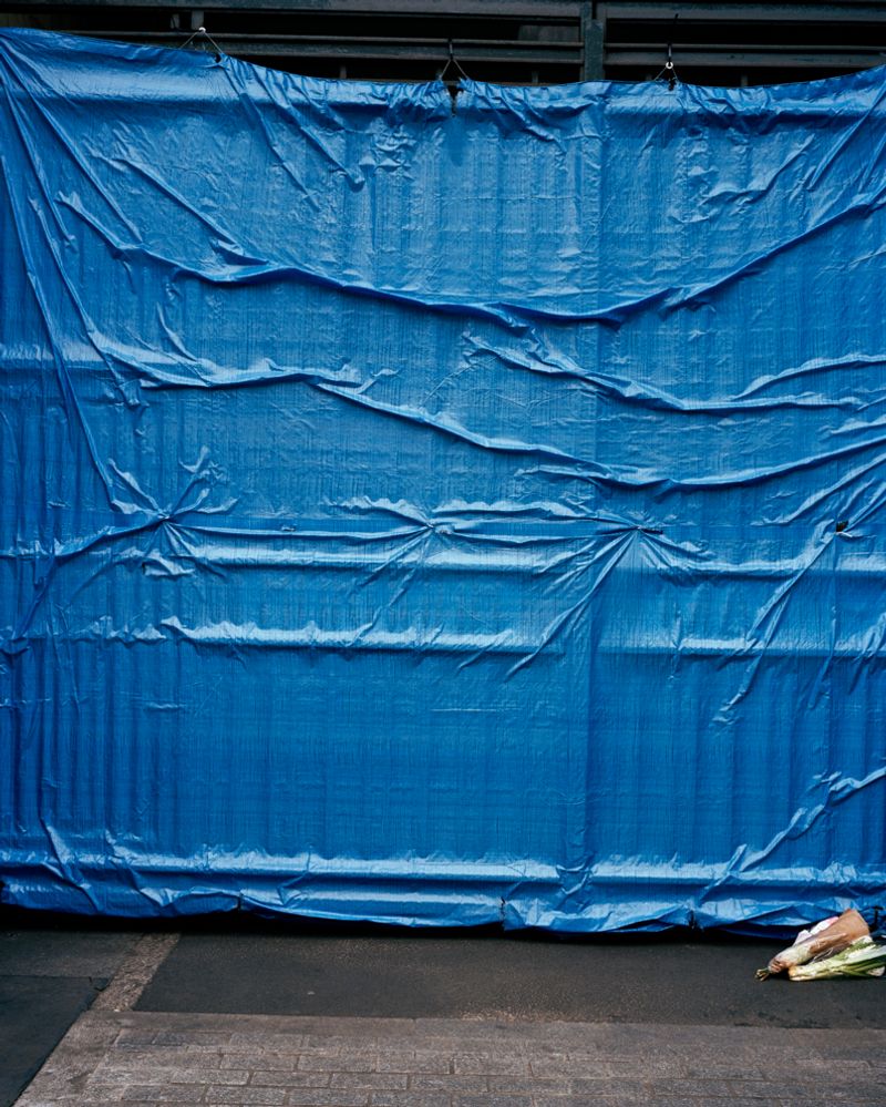 © Tereza Červeňová - Image from the June photography project