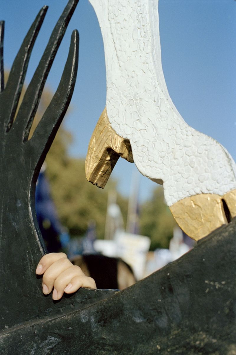 © Tereza Červeňová - Image from the June photography project