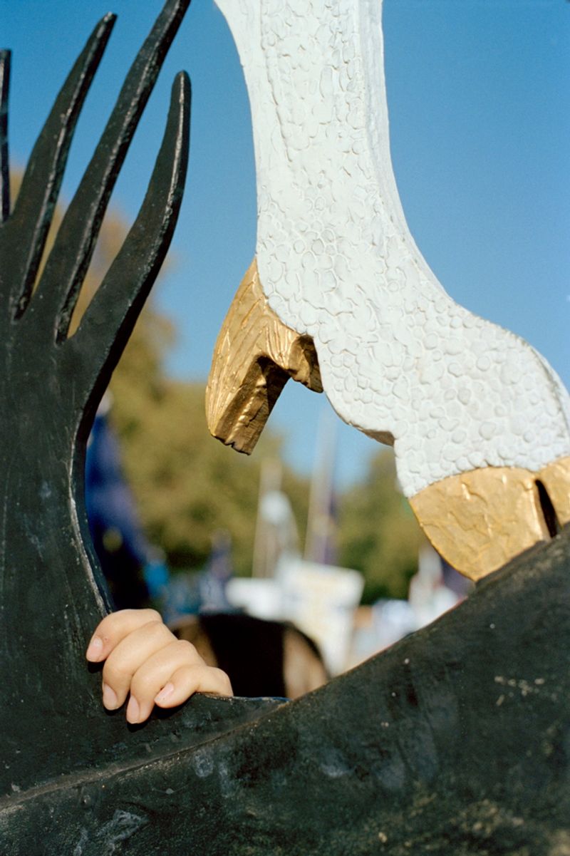 © Tereza Červeňová - Image from the June photography project