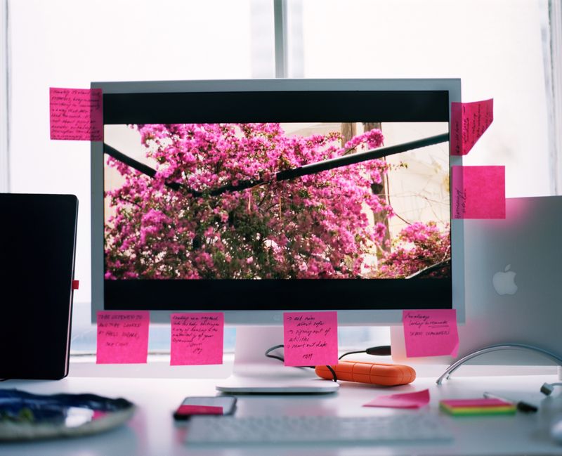 © Tereza Červeňová - For Sama and the Post-It petals.