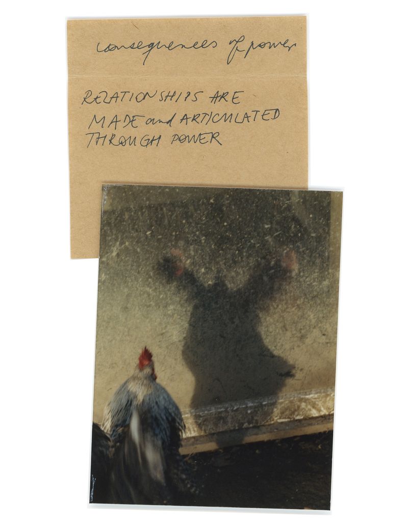 © Tereza Červeňová - Consequences of Power. (Relationships are made and articulated through power.)