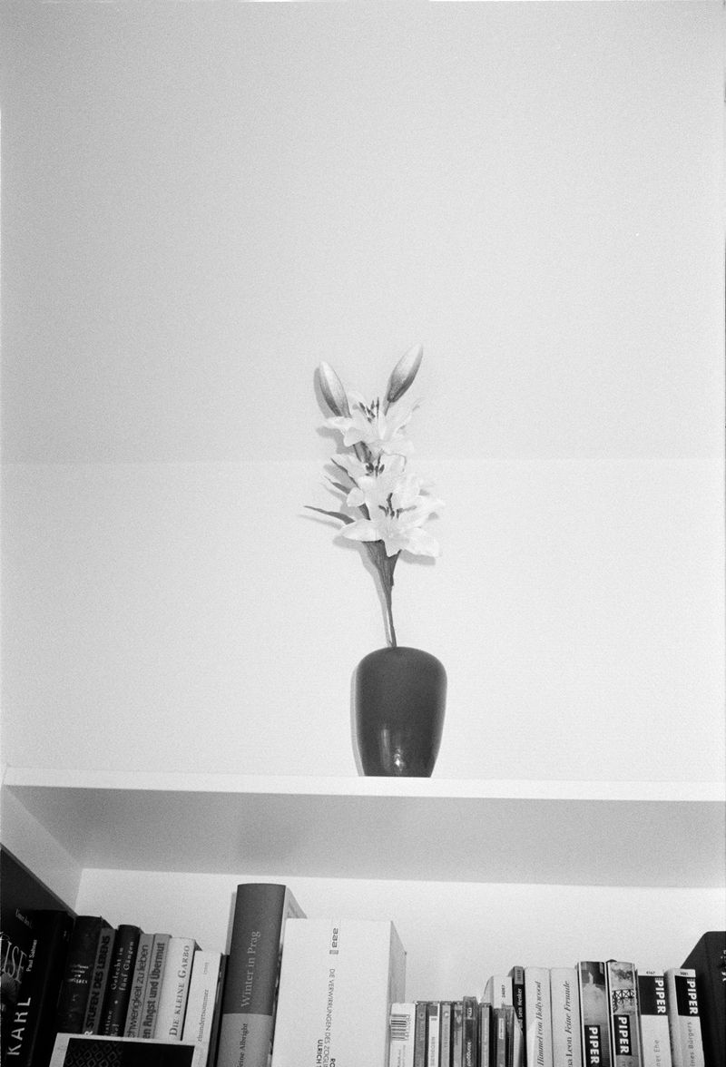 © Louisa Boeszoermeny - Image from the Coral Tangerine photography project