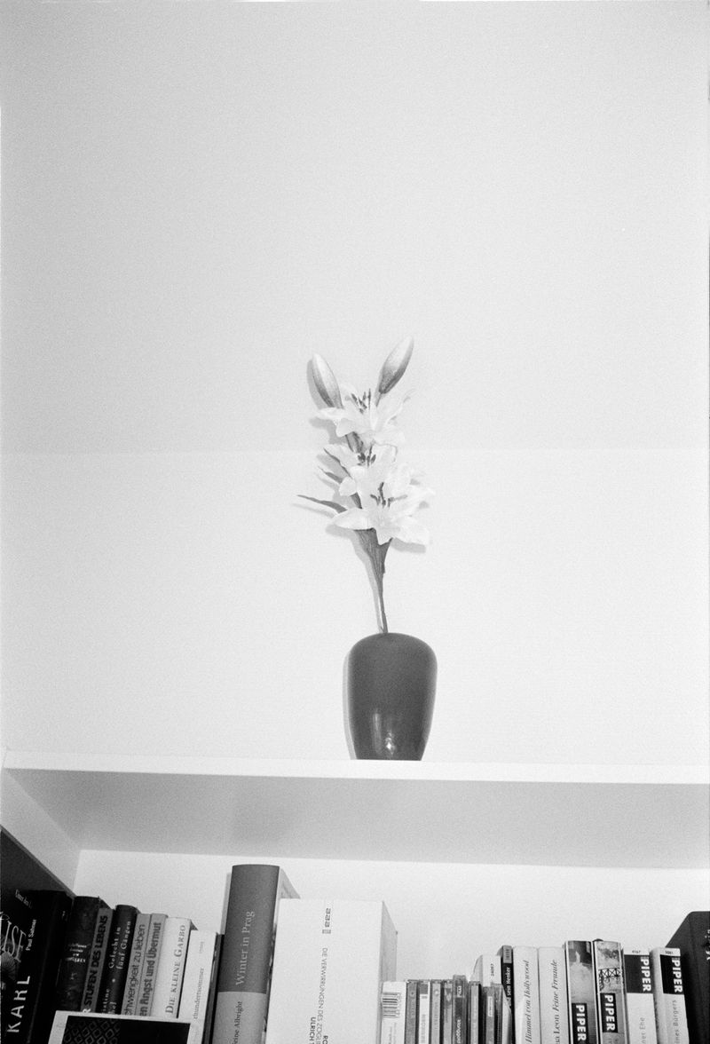 © Louisa Boeszoermeny - Image from the Coral Tangerine photography project