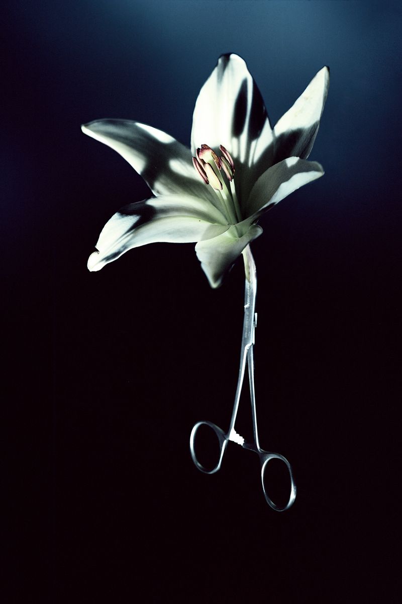 © Louisa Boeszoermeny - Compressorium