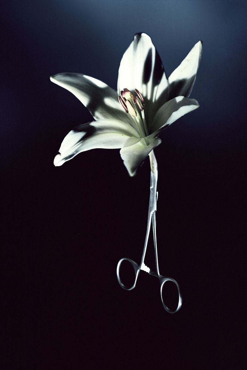 © Louisa Boeszoermeny - Compressorium