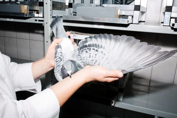 © Louisa Boeszoermeny - Image from the THE STATE I AM IN  photography project