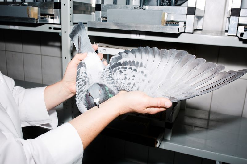 © Louisa Boeszoermeny - Image from the THE STATE I AM IN  photography project