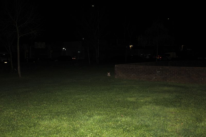 © Louisa Boeszoermeny - Image from the THE STATE I AM IN  photography project