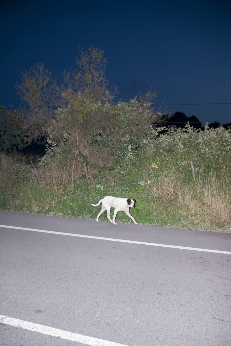 © Caimi & Piccinni - Image from the Güle Güle photography project