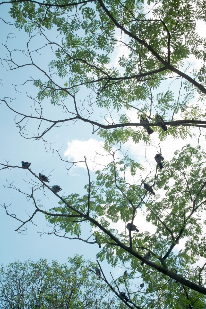 © Caimi & Piccinni - Image from the Güle Güle photography project