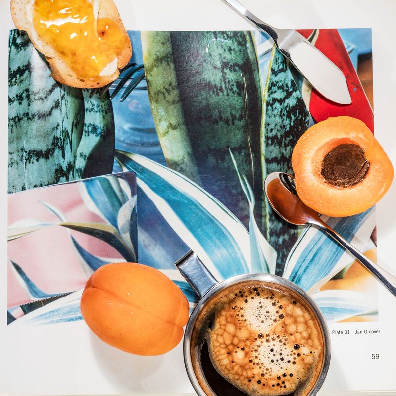 © Anastasia Samoylova - Breakfast with Jan Groover