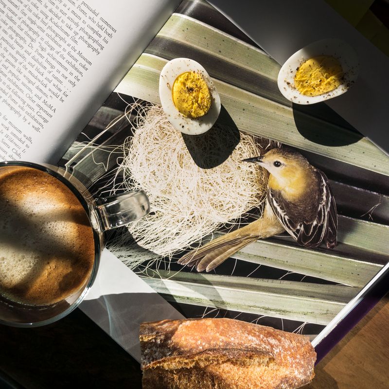 © Anastasia Samoylova - Breakfast with Eliot Porter