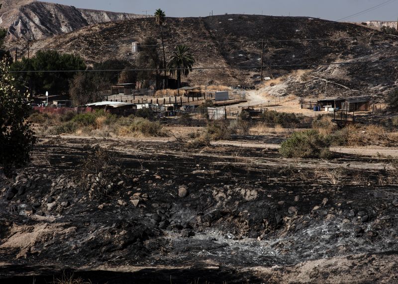 © Anastasia Samoylova - Charred hills around a ranch in Santa Clarita, CA