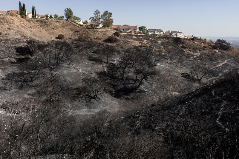 © Anastasia Samoylova - Charred hills in Porter Ranch neighborhood. Northridge, CA