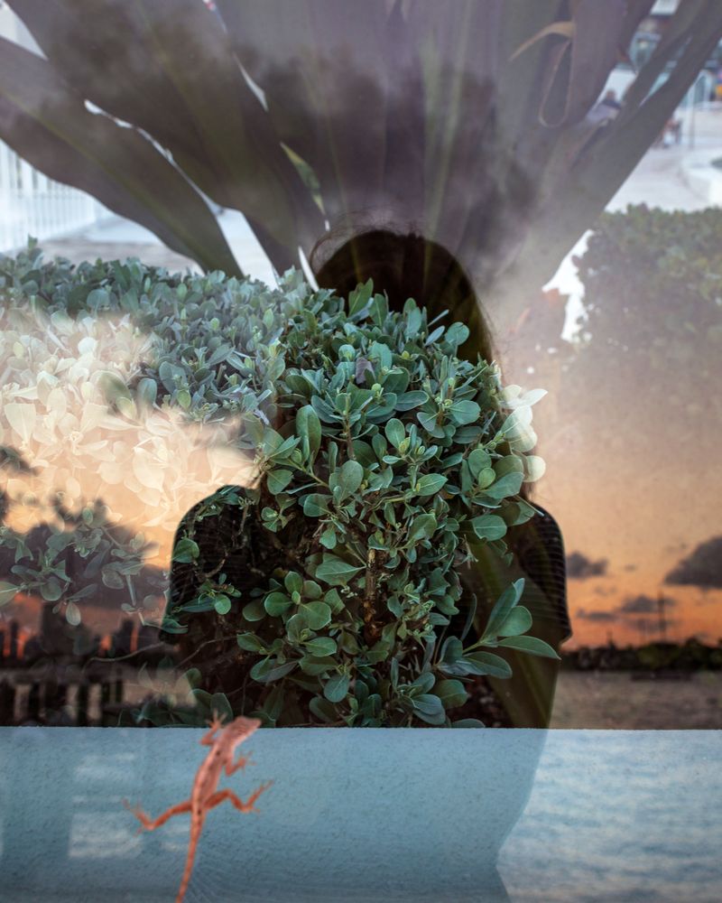 © Anastasia Samoylova - Biscayne Bay, 2018