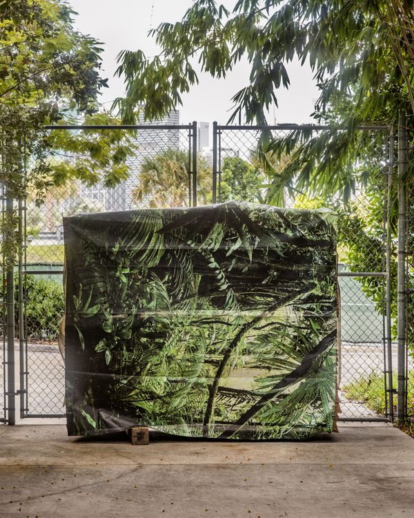 © Anastasia Samoylova - Camouflage, 2017