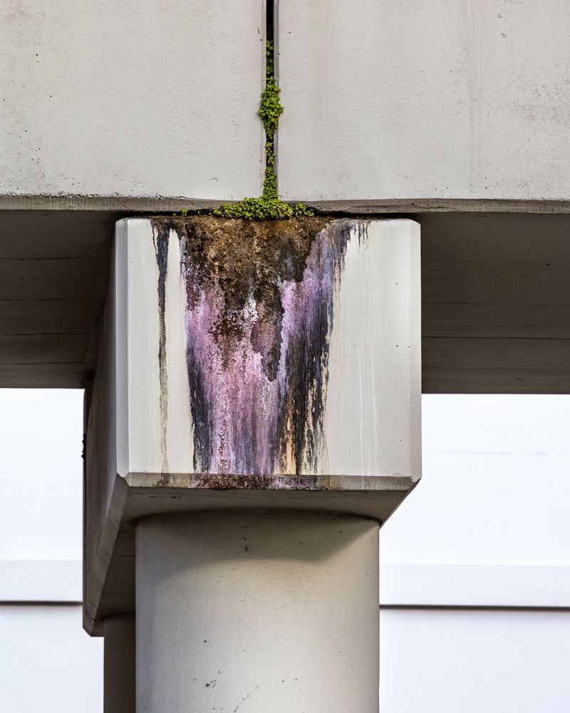 © Anastasia Samoylova - Concrete Erosion, 2019