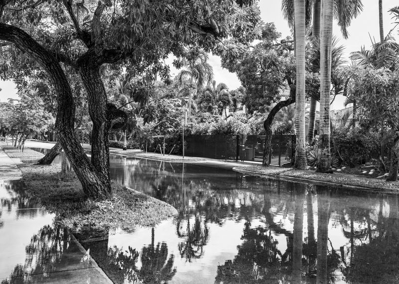 © Anastasia Samoylova - Street in Miami Beach at King Tide, 2019