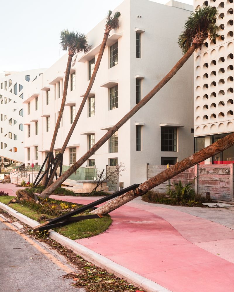 © Anastasia Samoylova - Pink Sidewalk, 2017