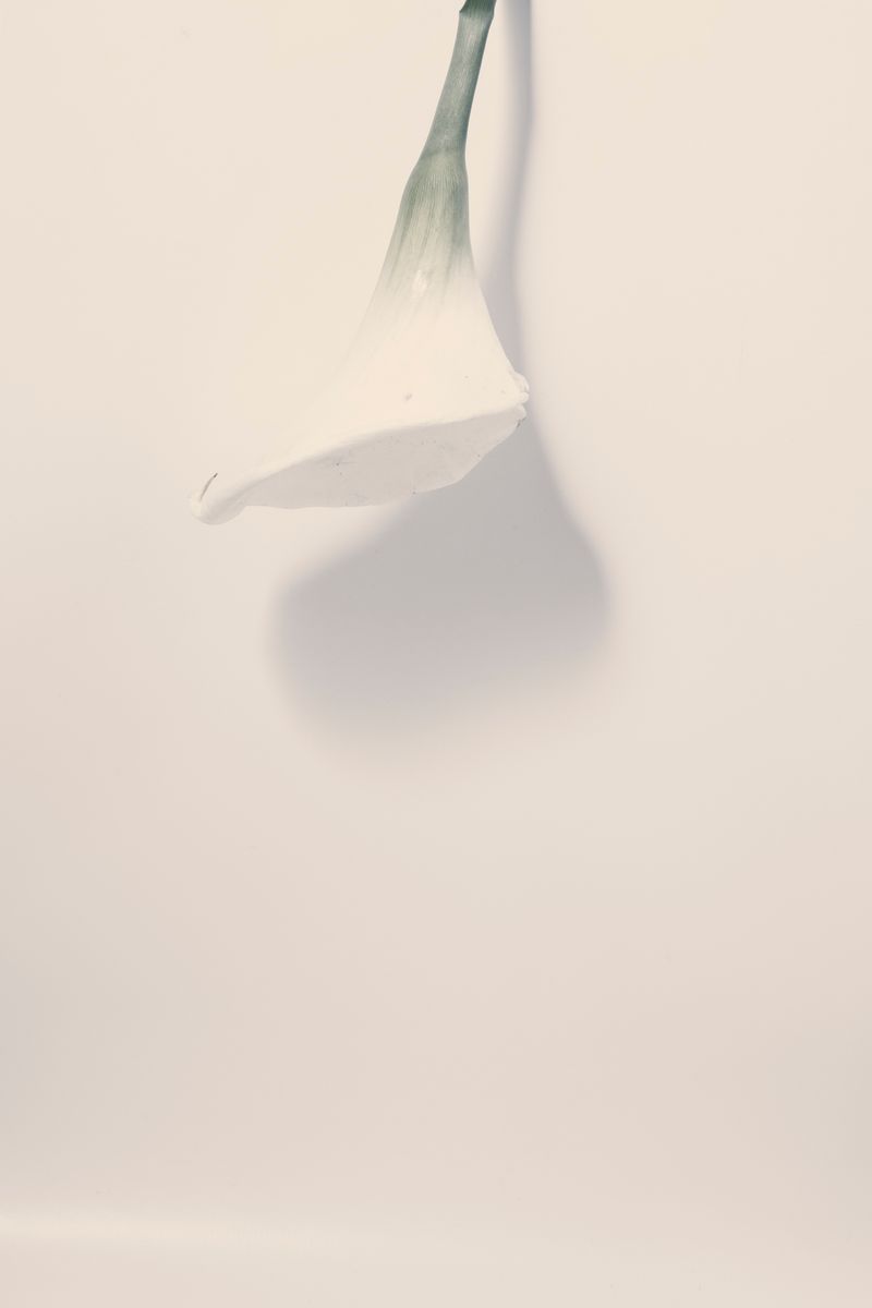 © Ioustini Drakoulakou - Title: Once's gone