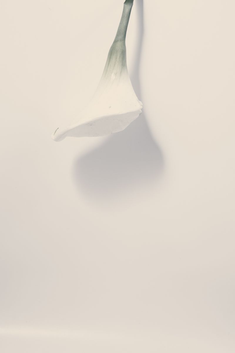 © Ioustini Drakoulakou - Title: Once's gone