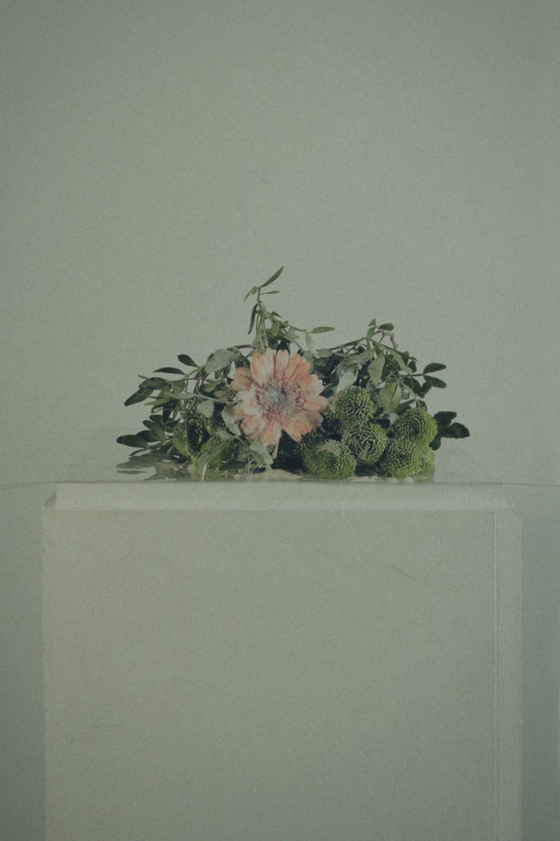 © Ioustini Drakoulakou - Title: Best regards