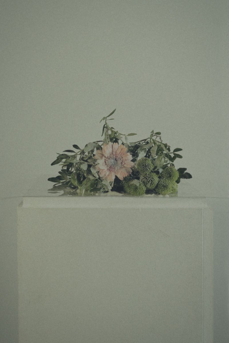 © Ioustini Drakoulakou - Title: Best regards