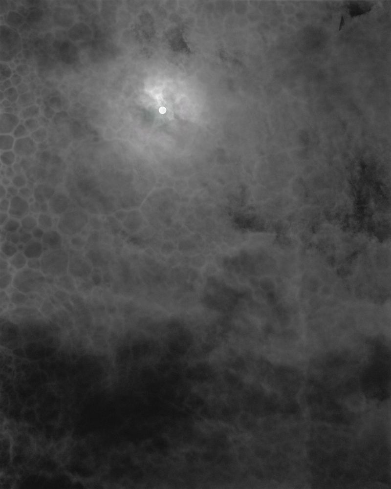 © Ioustini Drakoulakou - Title: Redox